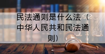 民法通则是什么法（中华人民共和民法通则）